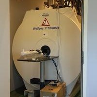 IRM 11.7T (Brücker)